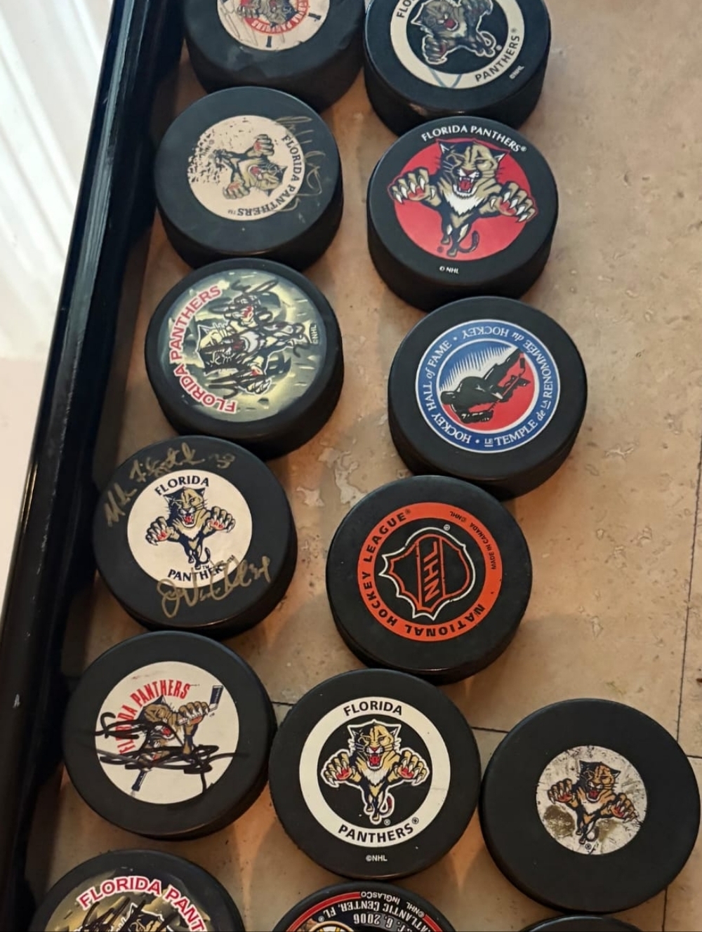 Assorted Florida Panthers NHL Hockey Pucks - Black with Team Logos
